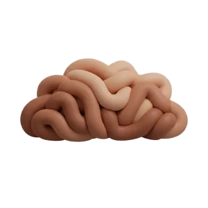 گوشت چرخ‌کرده